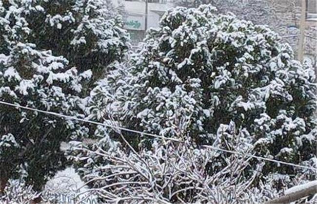 بارش برف در بجنورد - جمعه ۲۶ دی ۱۴۰۴