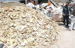 دورریز نان از مشکلات کنونی جامعه